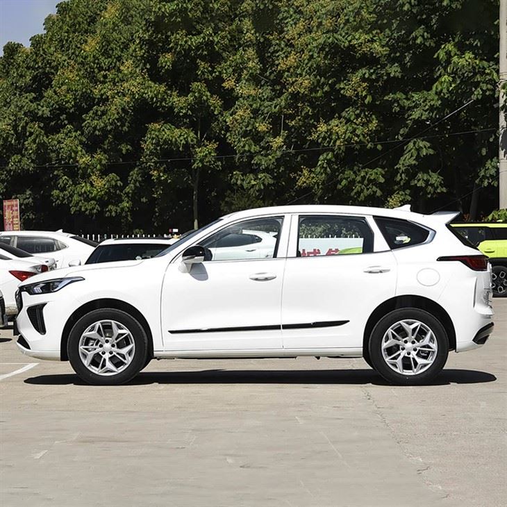 Original Paint Haval Cool Dog 2022 DCT 2WD Edition factory