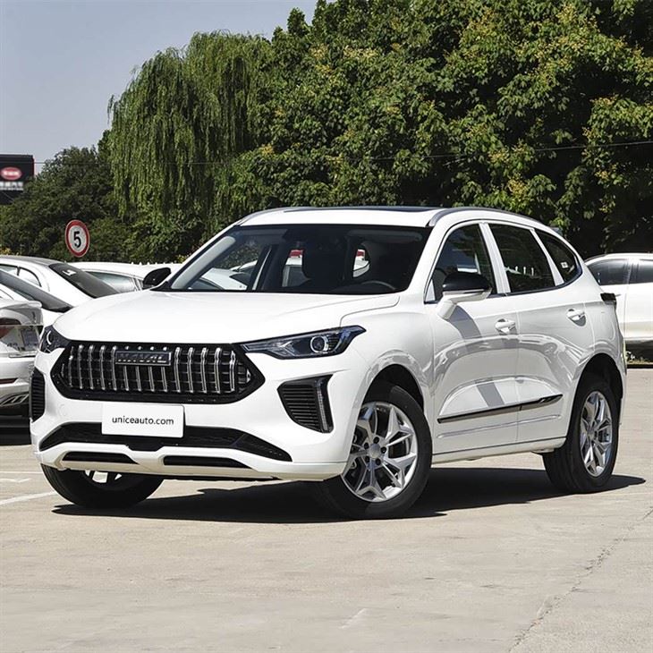 Original Paint Haval Cool Dog 2022 DCT 2WD Edition suppliers